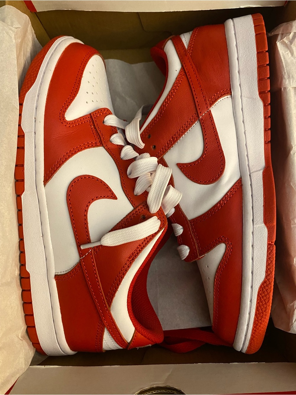 Nike Dunk low- big kids